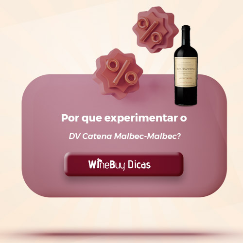 Por que experimentar o DV Catena Malbec-Malbec?