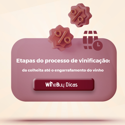 Etapas do processo de vinificação: da colheita até o engarrafamento do vinho