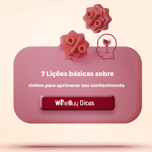 7 Lições básicas sobre vinhos para aprimorar seu conhecimento