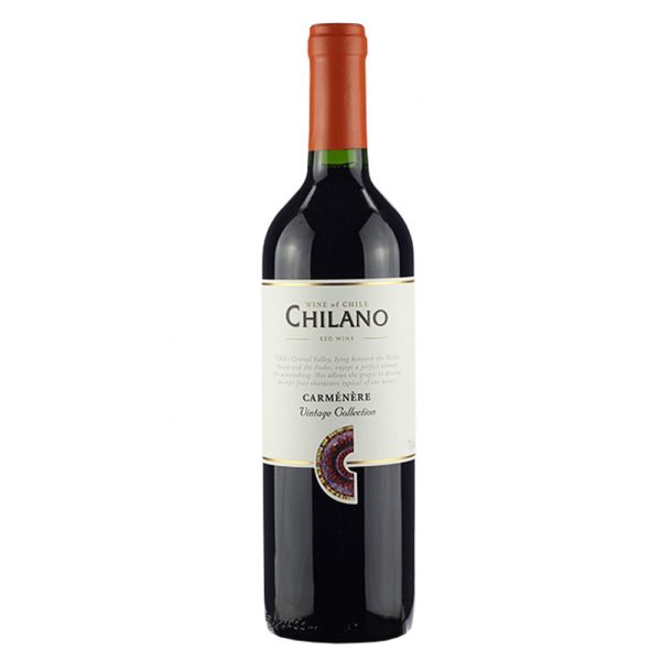 VIN POR ART TERRA AMPHORA TTO 750ML