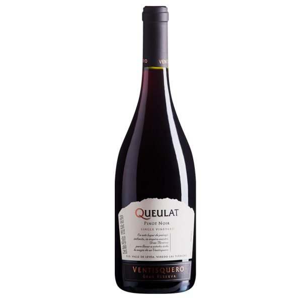 VIN CHI VENTISQUERO QUEULAT CASABLANCA PINOT NOIR TTO 750ML