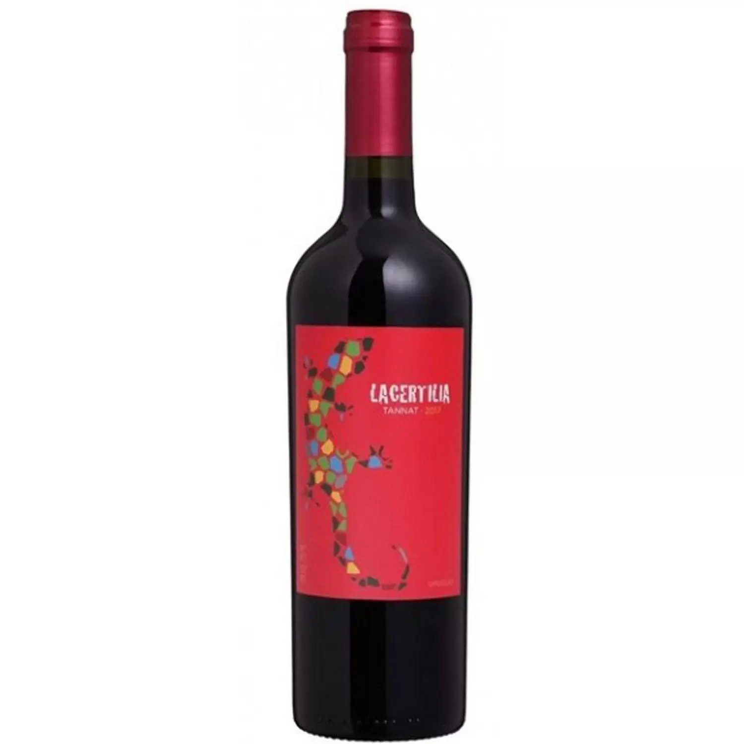 Braccobosca Lacertilia Tannat